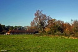 Stour Valley Autumn Wallpaper