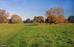 Stour Valley Autumn Wallpaper