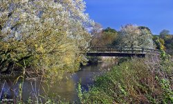 Stour valley Autumn Wallpaper