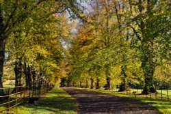 Stour Valley Autumn Wallpaper