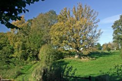 Stour Valley Autumn Wallpaper