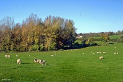 Stour Valley Autumn Wallpaper