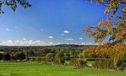 Stour Valley Autumn Wallpaper