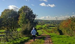 Stour Valley Autumn