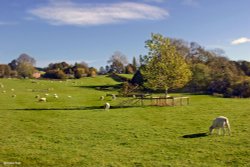 Stour Valley Autumn Wallpaper