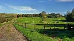 Stour Valley Autumn Wallpaper