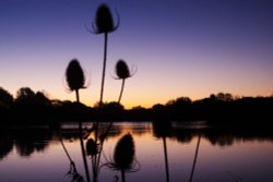 Kingsbury Water Park Wallpaper