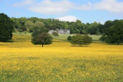 Pythouse, Tisbury May 2013 Wallpaper