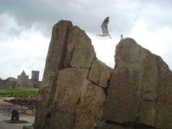 Inchcolm Island scene Wallpaper