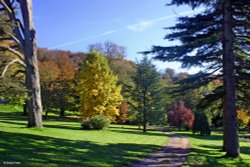 Milton Abbas, Dorset.