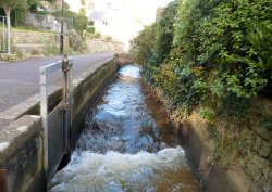 Lyme Regis Wallpaper