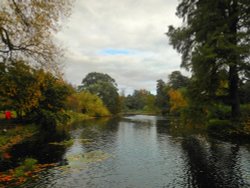 Lake, Kew Gardens Wallpaper