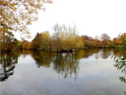 A calm autumn day on the lake at Nidd. Wallpaper