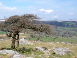 Beautiful Dartmoor Wallpaper