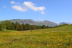 Alpine Britain