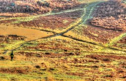 Bradgate Park Wallpaper