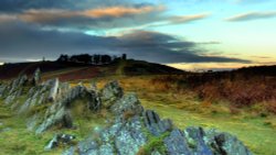 Bradgate Park Wallpaper