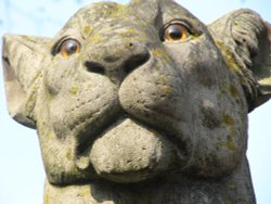 Lioness Statue,Cardiff Castle Wallpaper