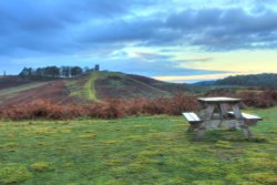 Bradgate Park Wallpaper