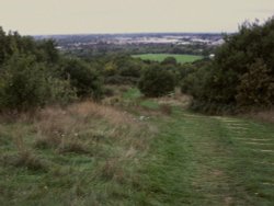 Horsenden Hill Wallpaper