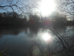 Coombe Abbey Country Park - the lake in Winter Wallpaper