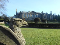 Coombe Abbey Country Park Wallpaper