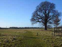 Coombe Abbey Country Park Wallpaper