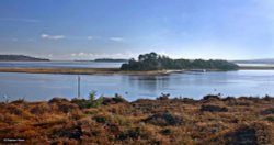 Arne RSPB Reserve Wallpaper