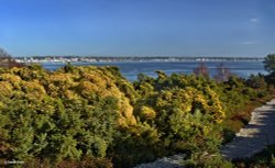 Arne RSPB Reserve Wallpaper