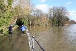 Flooded footpath near Caversham Weir Wallpaper