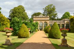 The Orangery Wallpaper