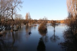 Flooded fields at Christchurch Meadows, Caversham Wallpaper