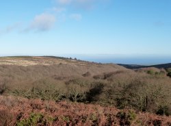 Quantock Hills Wallpaper