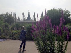 The Royal Pavilion, Brighton