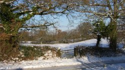 Blackdown Hills near Wellington Wallpaper