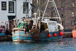 Boat in Eyemouth harbour Wallpaper