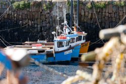 Crail harbour Wallpaper