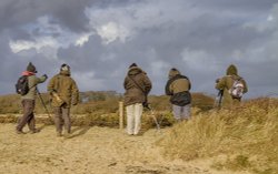 Bird Spotters at Lepe Wallpaper