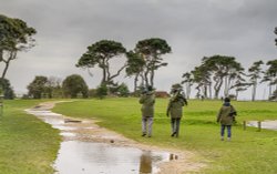 Lepe Park Wallpaper