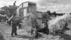 Rural show near Northampton Wallpaper