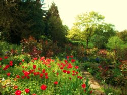 English country garden near Marden, Kent Wallpaper