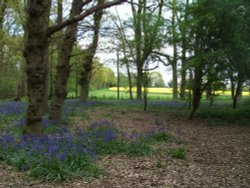 Country farm near Marden, Kent Wallpaper