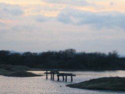 Cliffe Pools Wallpaper