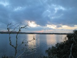 Cliffe Pools Wallpaper