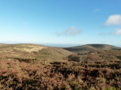 Quantock Hills Wallpaper