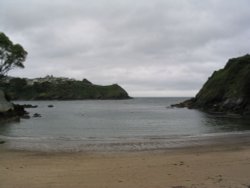 Cove on Fowey Estuary - June 2003 Wallpaper