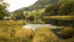 Rydal Water looking west Wallpaper