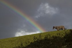 Some where over the rainbow near Fordingbridge... Wallpaper