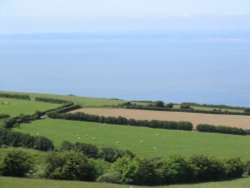 Exmoor - Moors, Sheep, and Coast - June 2003 Wallpaper