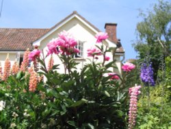 Dunster - Cottage & Garden - June 2003 Wallpaper